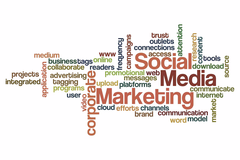 Digital marketing services in Coimbatore by Seelan Graphics