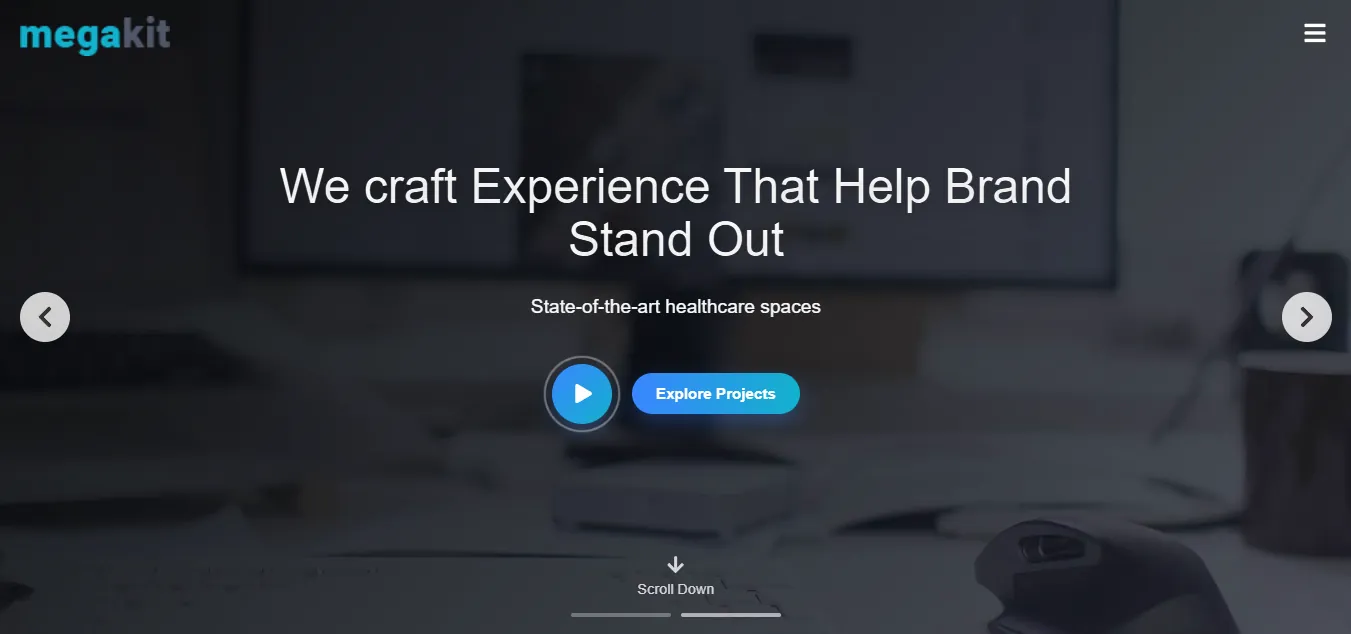 Professional Corporate Website